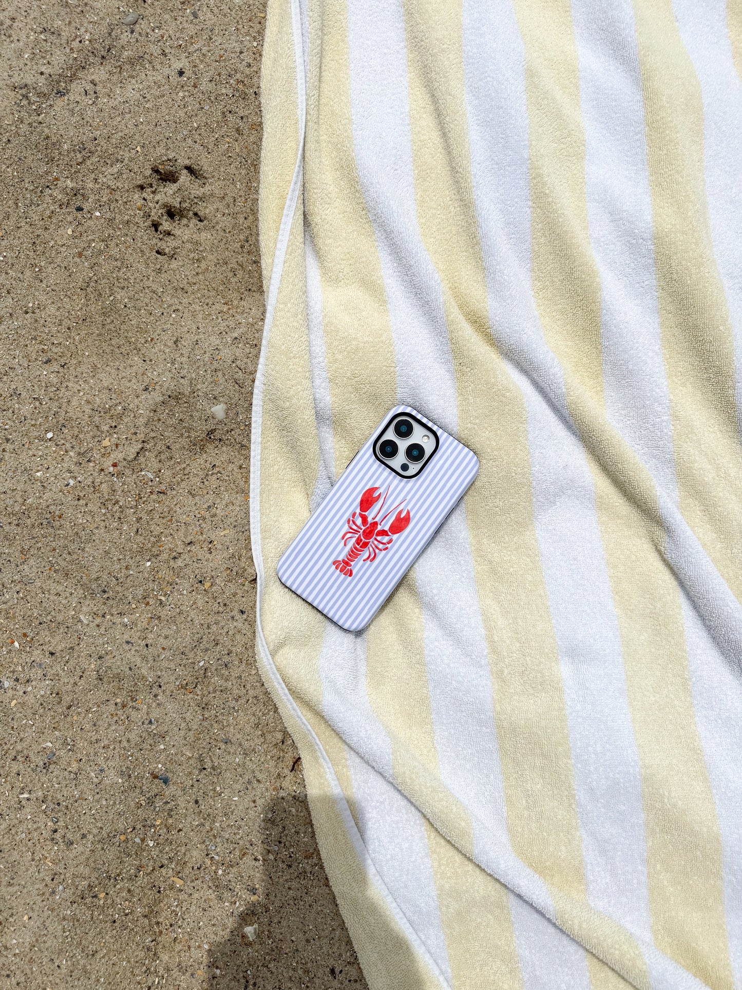 Summer Tough iPhone Case, Dual Layer Protective Phone Cover, MagSafe Compatible,  iPhone 17 - 12